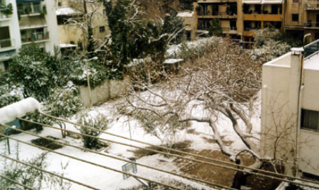 ακάλυπτος